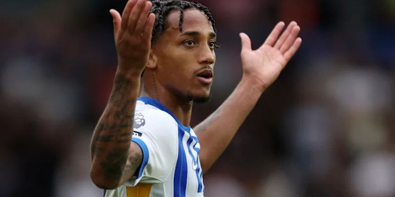 João Pedro – Mảnh ghép hoàn hảo trong hệ thống tấn công của Brighton